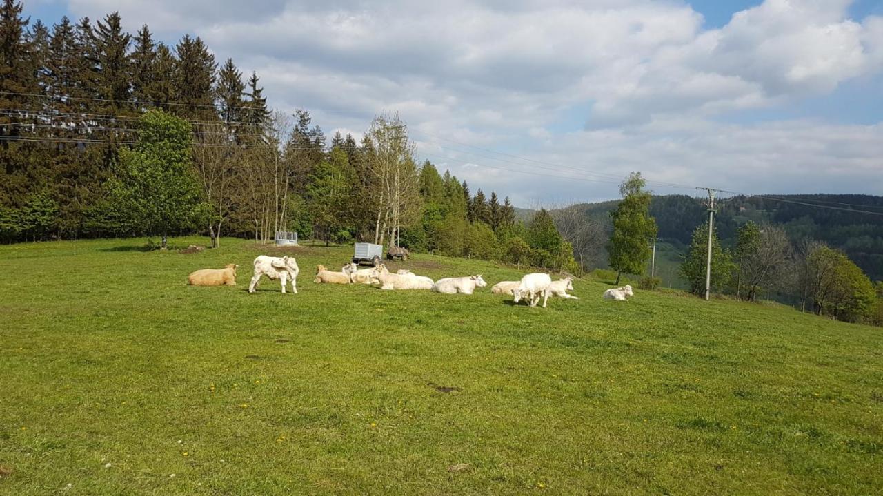 Apartman Rokytnice, Rokytno 20 Rokytnice nad Jizerou Zewnętrze zdjęcie
